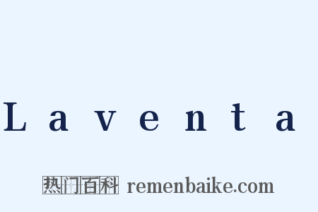 Laventa是什么意思的图片